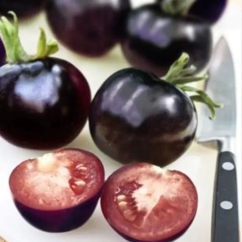 🍅🌱Buy 200 seeds, get 100 free - 🍅High Quality Organic Indigo Rose Tomato Seeds