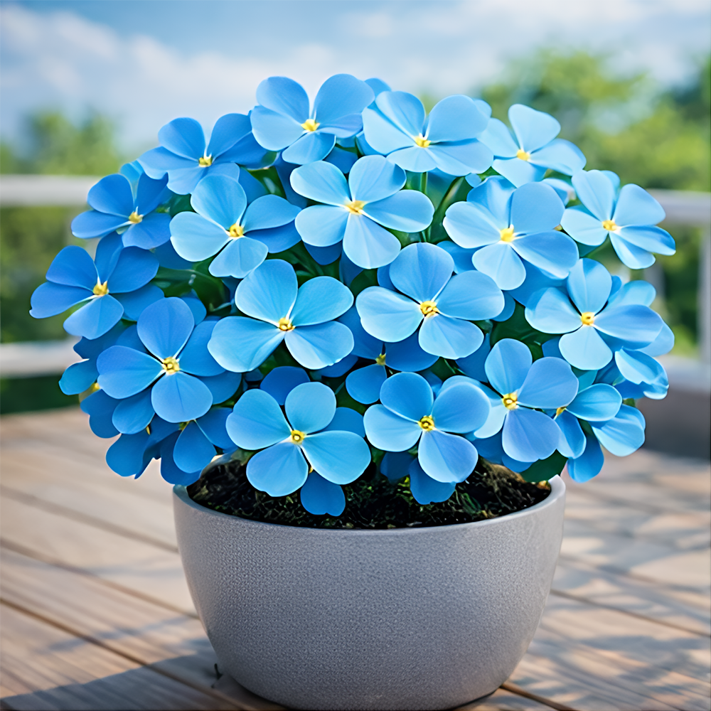 🍀 Семена от щастлива детелина с четири листа – цветно наследствено саксийно растение – носещо ви късмет.