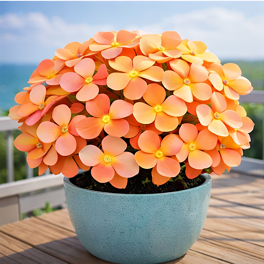 🍀 Семена от щастлива детелина с четири листа – цветно наследствено саксийно растение – носещо ви късмет.