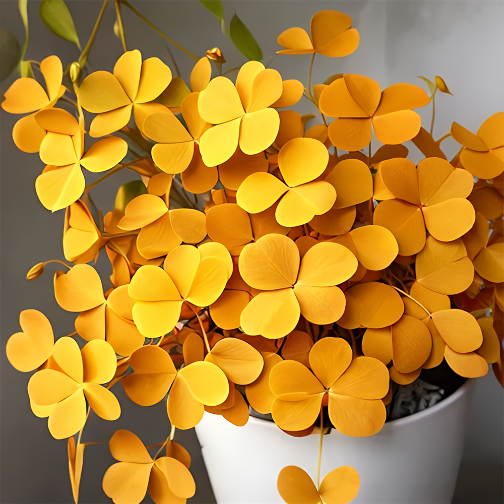 🍀 Семена от щастлива детелина с четири листа – цветно наследствено саксийно растение – носещо ви късмет.