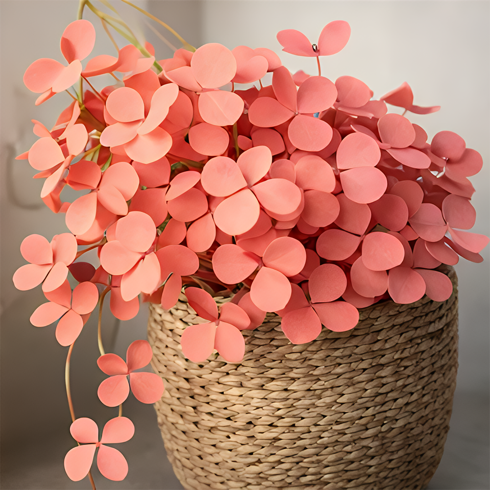 🍀 Семена от щастлива детелина с четири листа – цветно наследствено саксийно растение – носещо ви късмет.