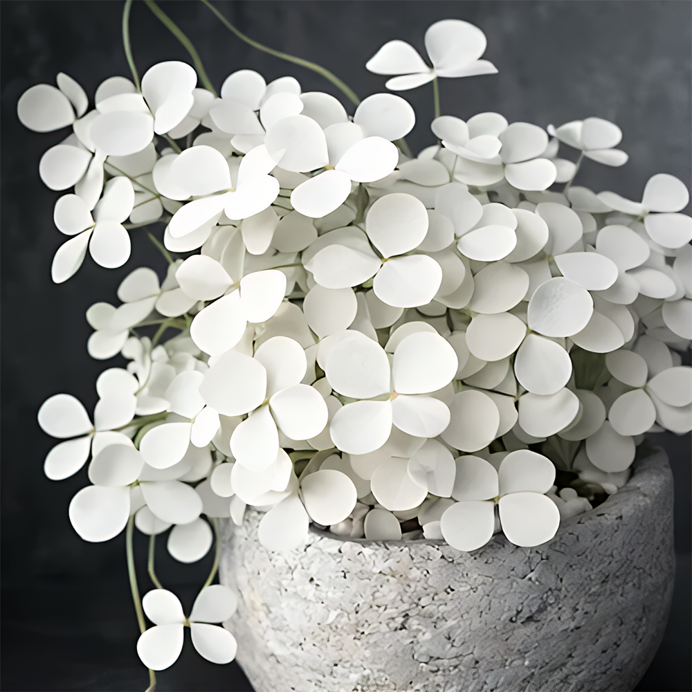 🍀 Семена от щастлива детелина с четири листа – цветно наследствено саксийно растение – носещо ви късмет.