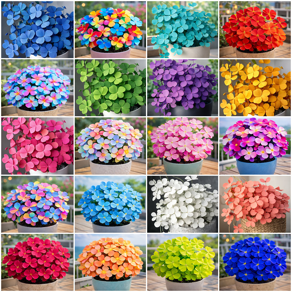 🍀 Семена от щастлива детелина с четири листа – цветно наследствено саксийно растение – носещо ви късмет.