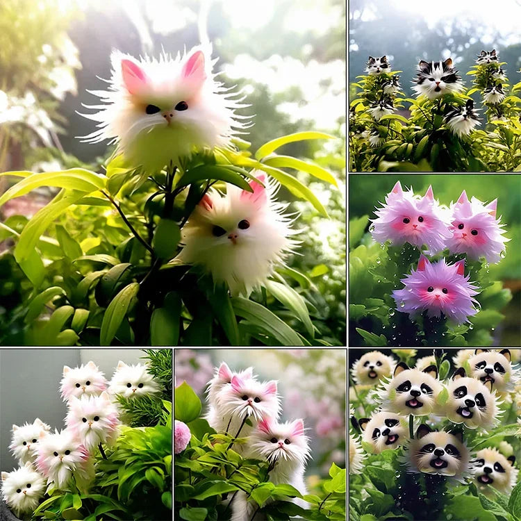 🔥 Удивителни растения! 🌈🐱 Цвете „Котешко око“ (Cat's Eye Dazzle Flower)