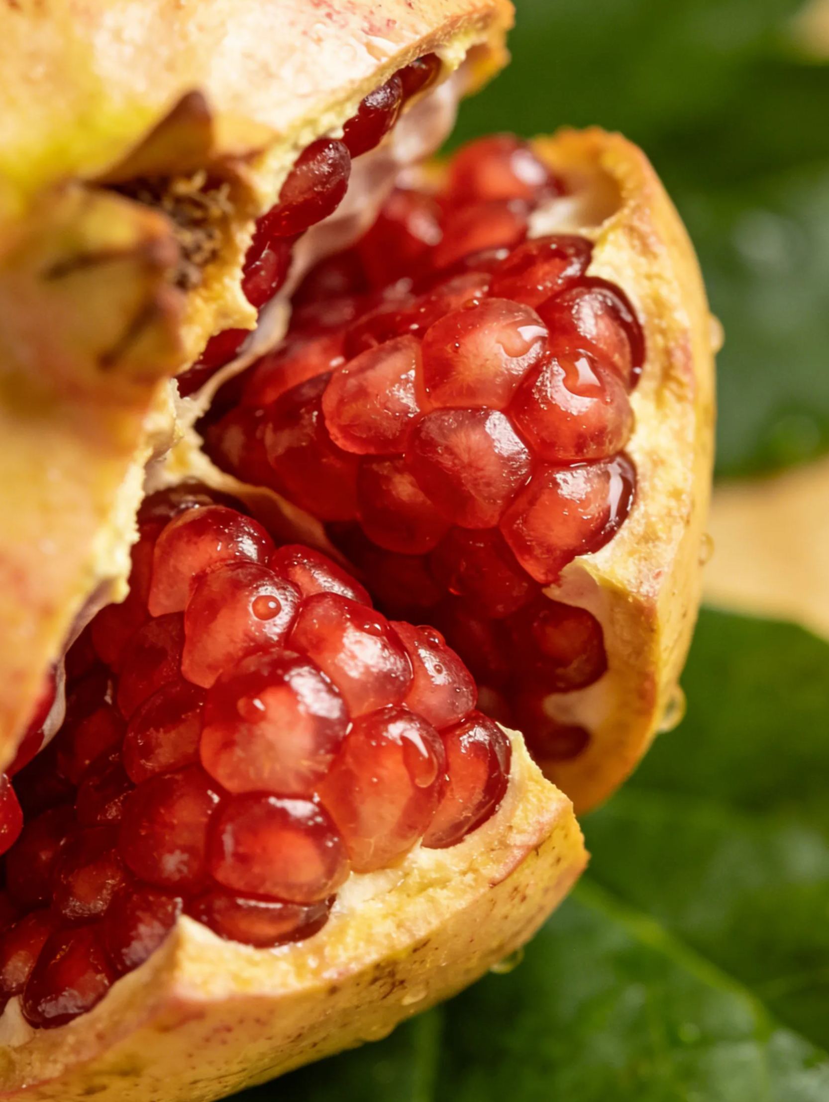 Семена от червени и щастливи нарове 🍒