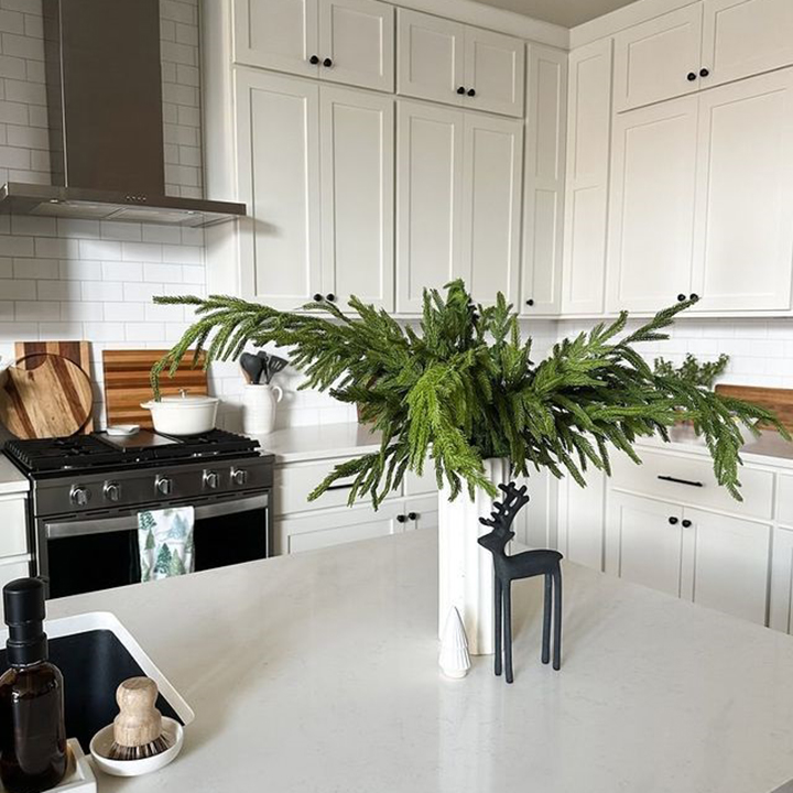 🔥Only $9.97🔥The Best Holiday Greenery - Viral Norfolk Pine Stems