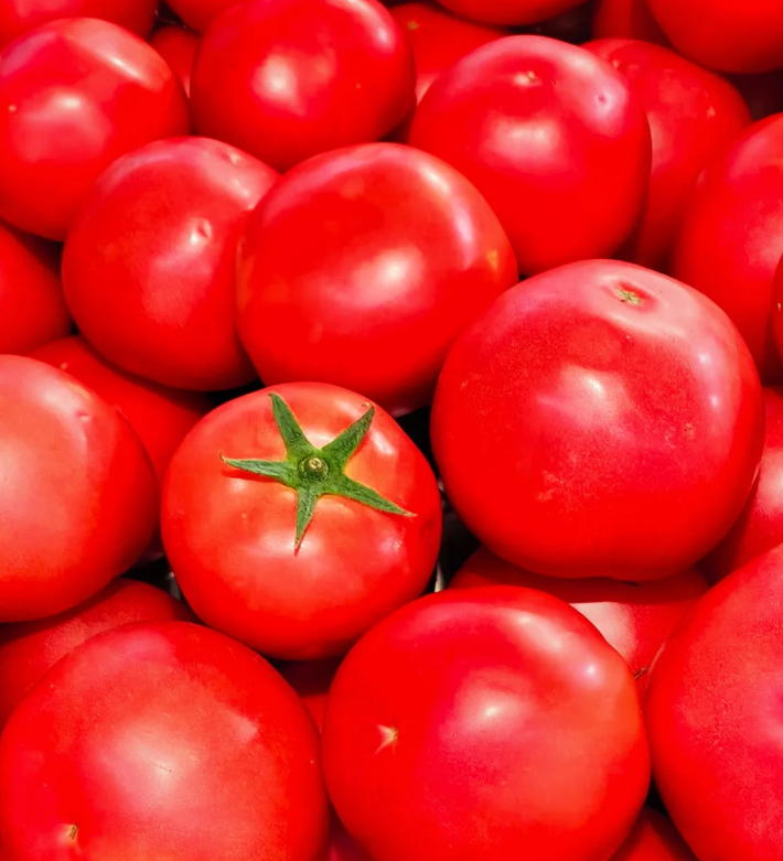 🌱 Vysoce kvalitné paradajkové semená – vysokourodné odrody, ideálne pre domáce pestovanie! 🍅✨