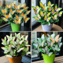 Комплект зелен