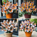 Комплект оранжев