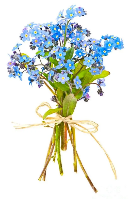 🌱Legkeresettebb termékek