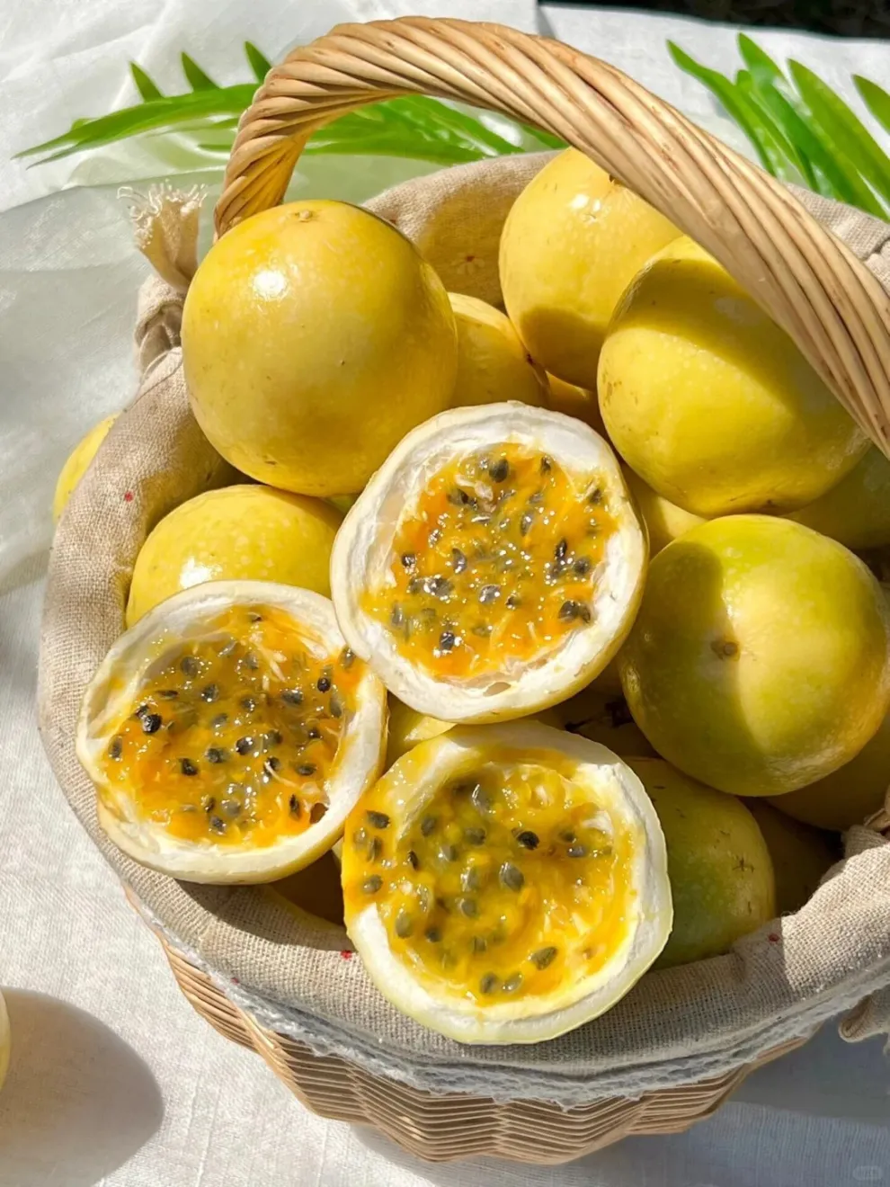 🌟🌱 Премиум семена от златист маракуя