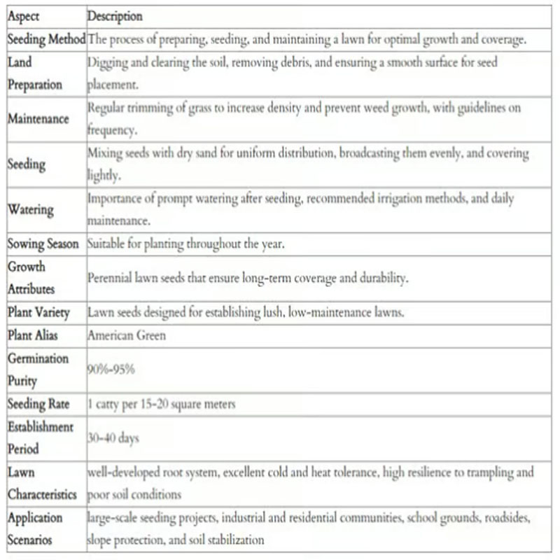 🔥🌱 Семена за вечнозелена джудже трева за четири сезона🌾 | Създайте перфектния си тревен килим тук🌼