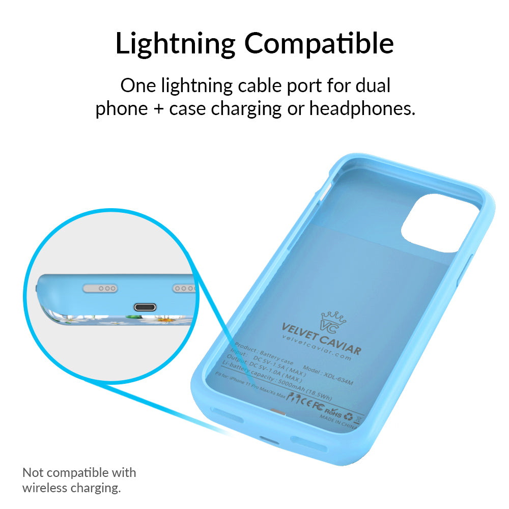 Daisy iPhone Charging Case