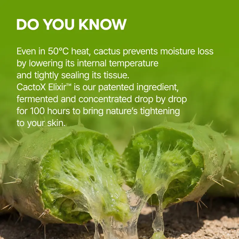 🔥V-Lifting Mewing Band – Cactus Cooling, Reduces Puffiness & Tightens Pores 🔥V-Lifting Mewing Band – Cactus Cooling, Reduces Puffiness & Tightens Pores