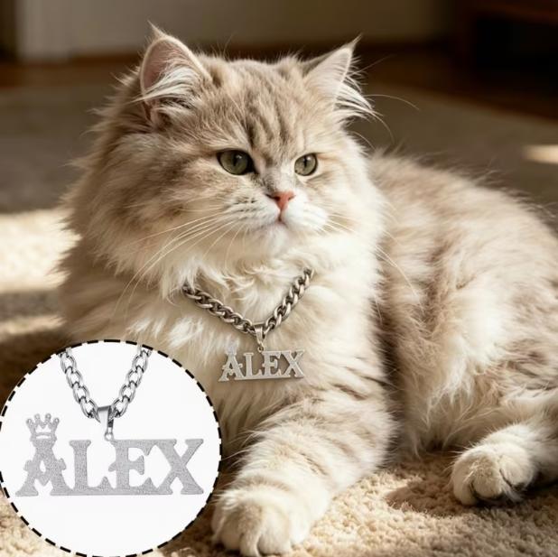 MOJO DROPS Pet Dog Tag Necklace ND06614