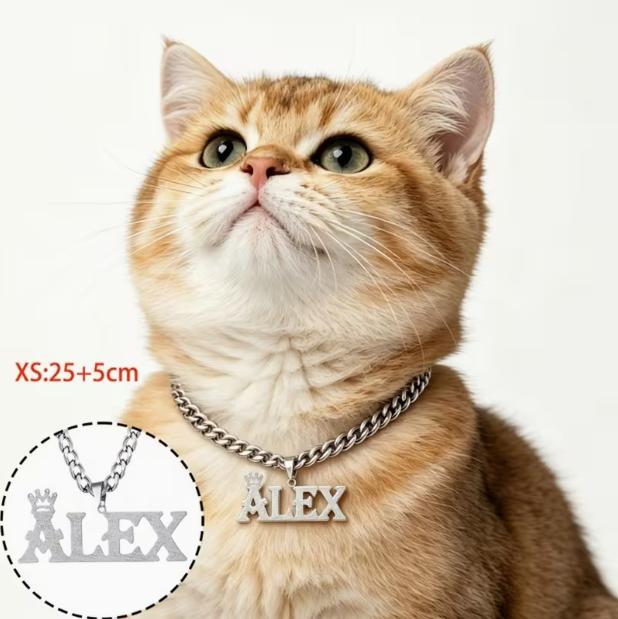 MOJO DROPS Pet Dog Tag Necklace ND06614