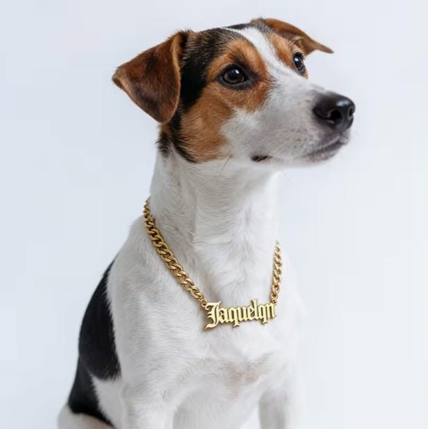 MOJO DROPS Pet Dog Tag Necklace ND06614