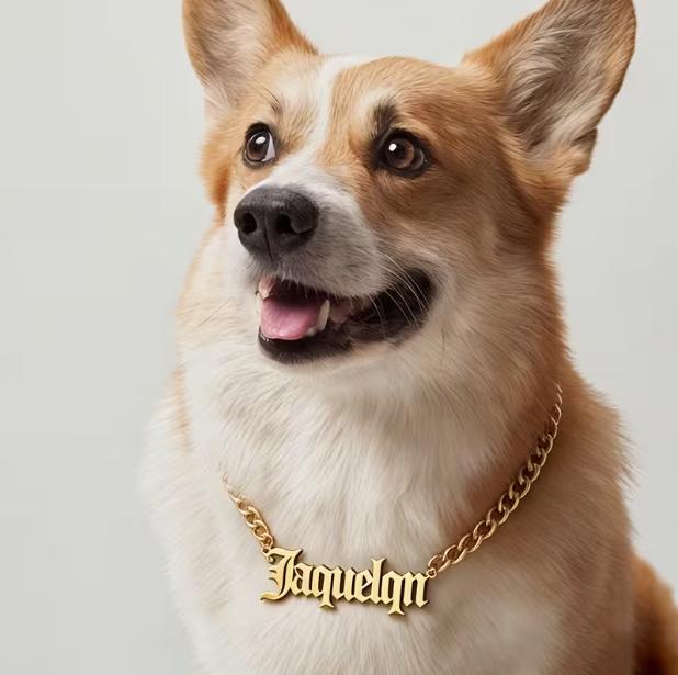 MOJO DROPS Pet Dog Tag Necklace ND06614