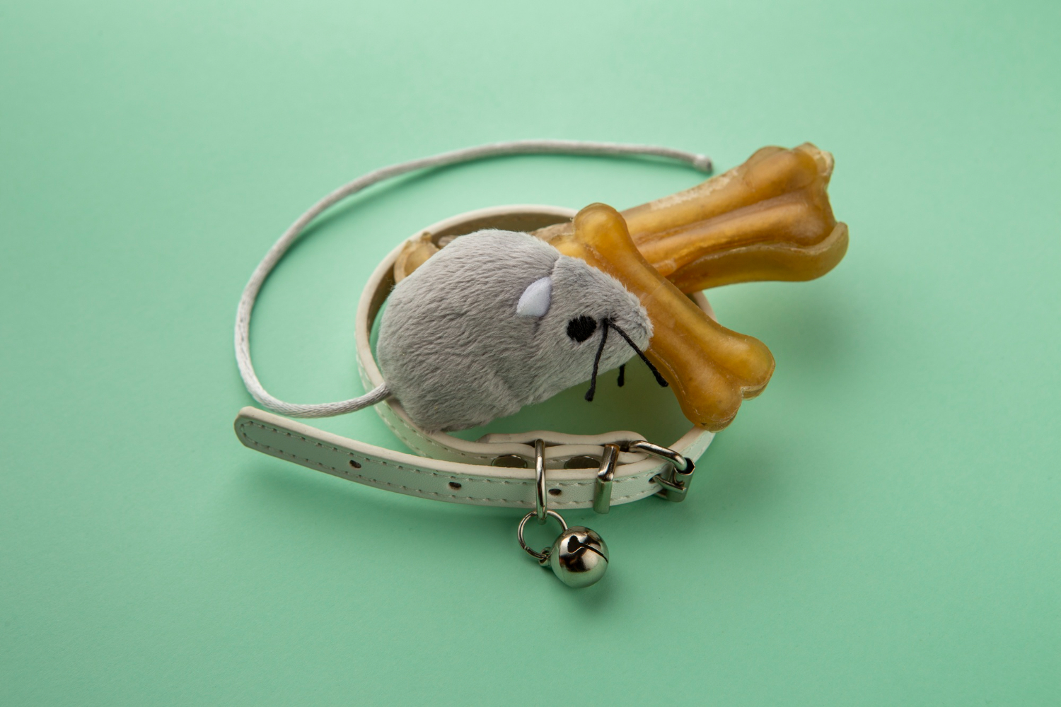Pet Hanging Accessories