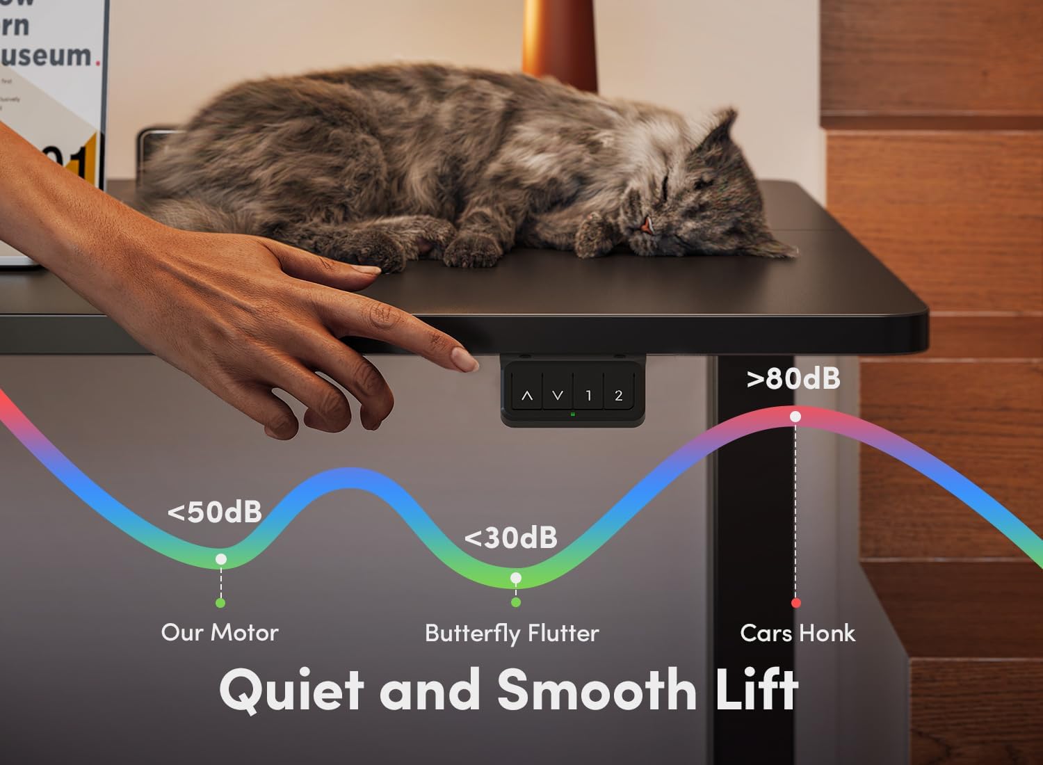 Electric Standing Desk, 60 x 24 Inches Height Adjustable Stand up Desk