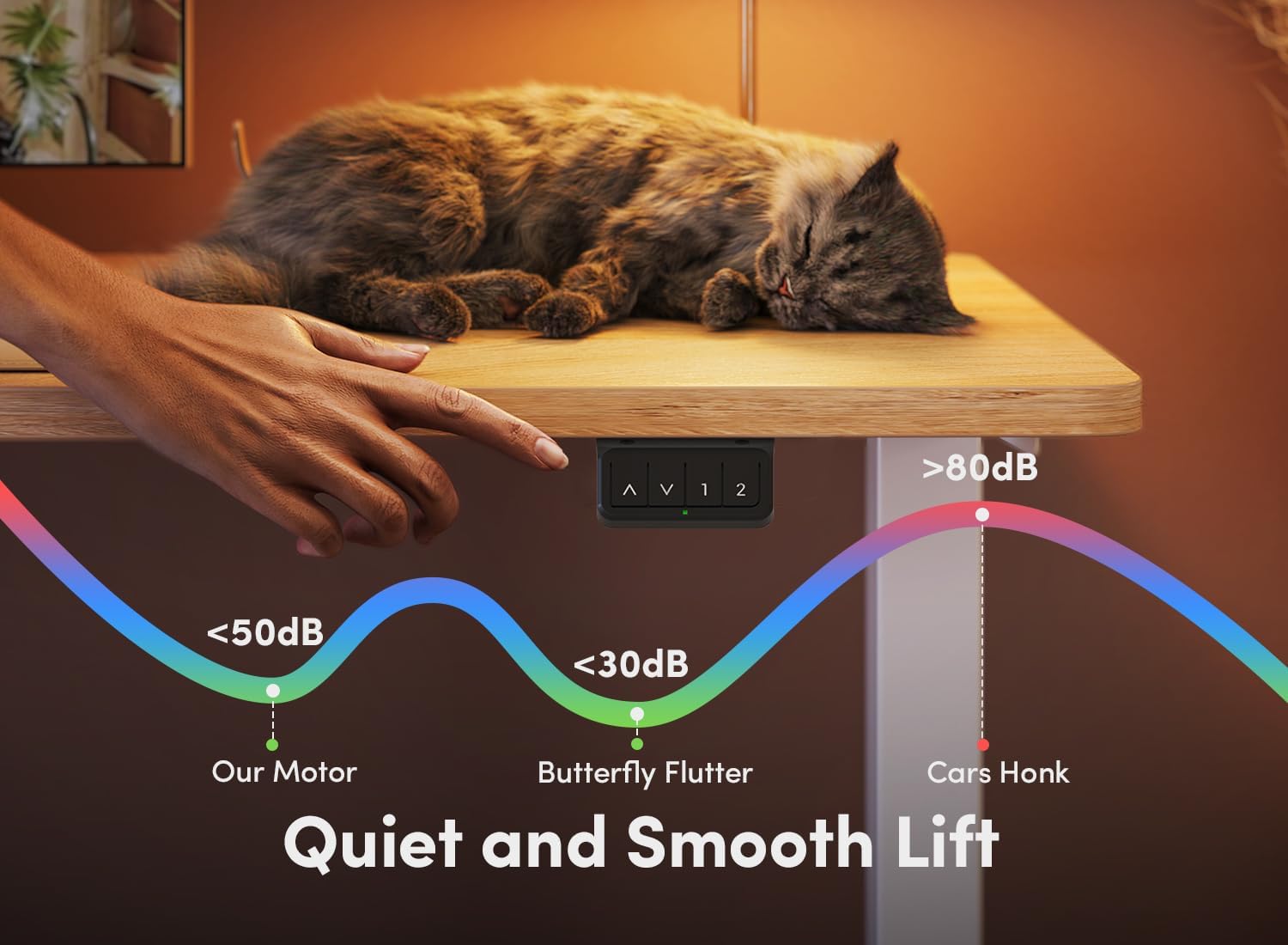 Electric Standing Desk, 60 x 24 Inches Height Adjustable Stand up Desk