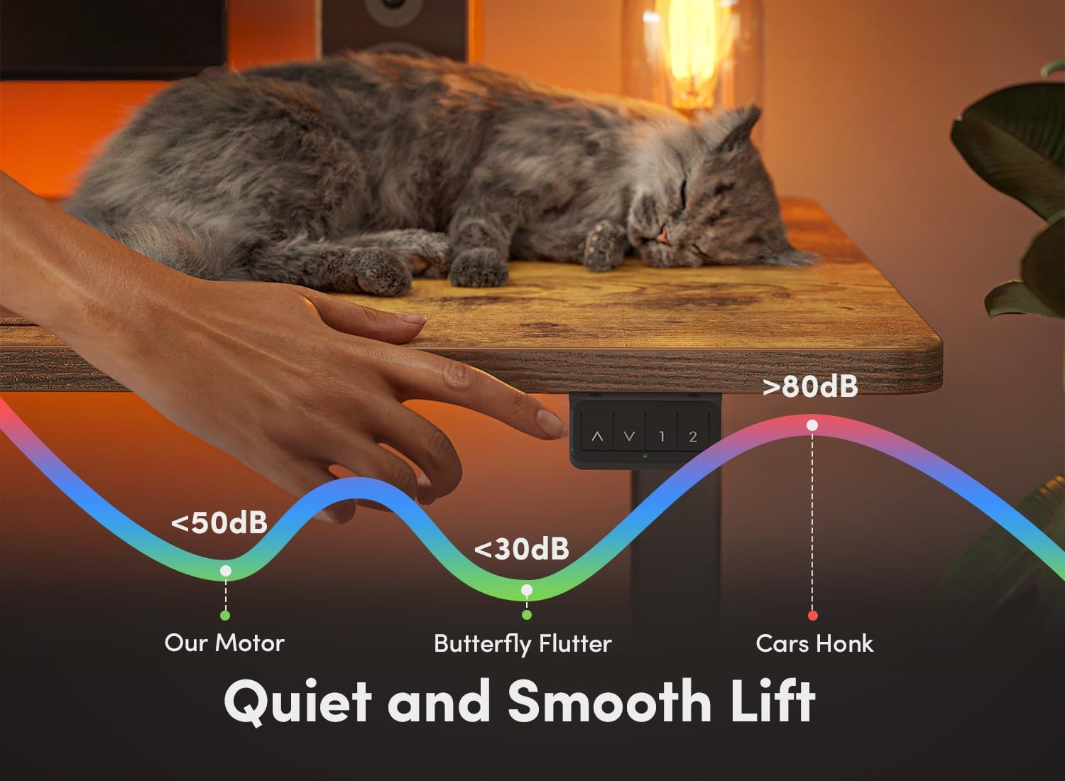 55 x 24 Inches Height Adjustable Stand up Desk