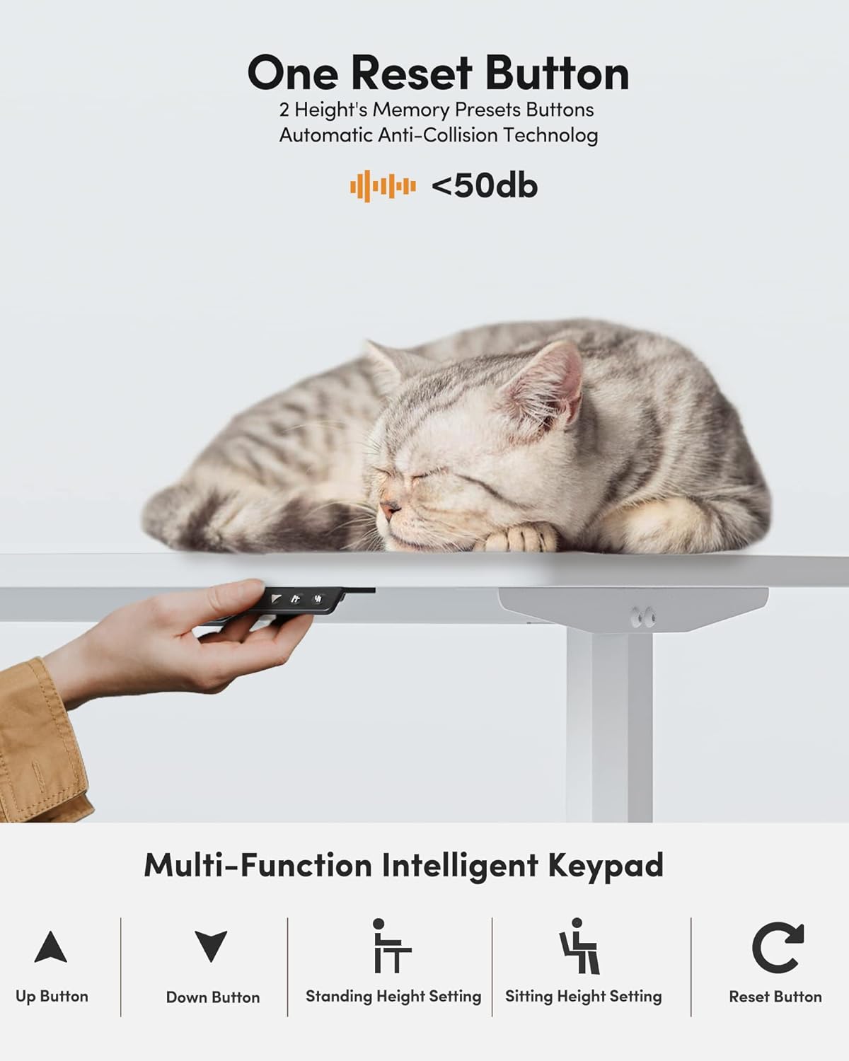 Height Adjustable Electric Standing Desk, 55 x 24 Inches Stand up Table