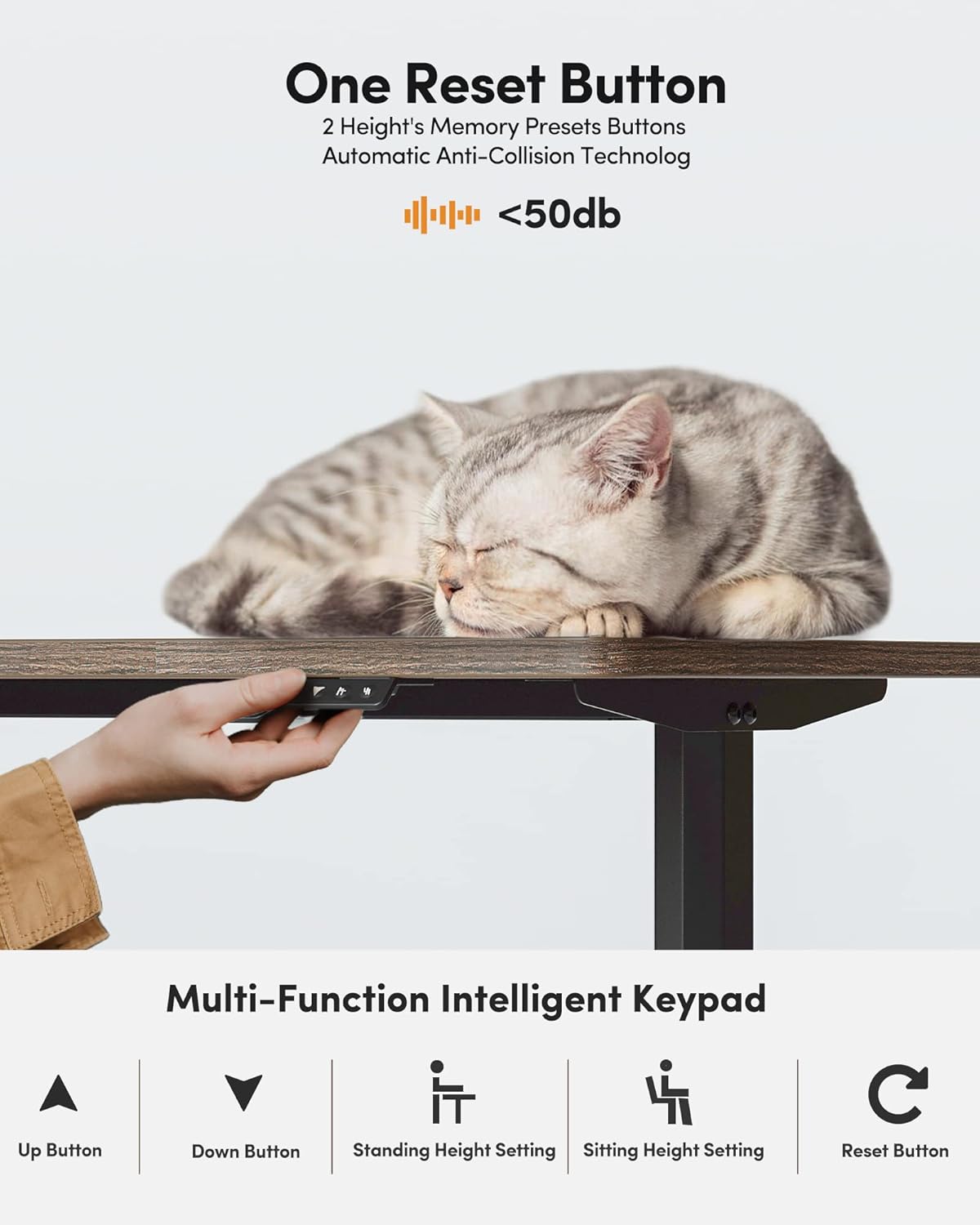 63"x28" L Shaped Standing Desk, Electric Stand up Height Adjustable Home Office Table