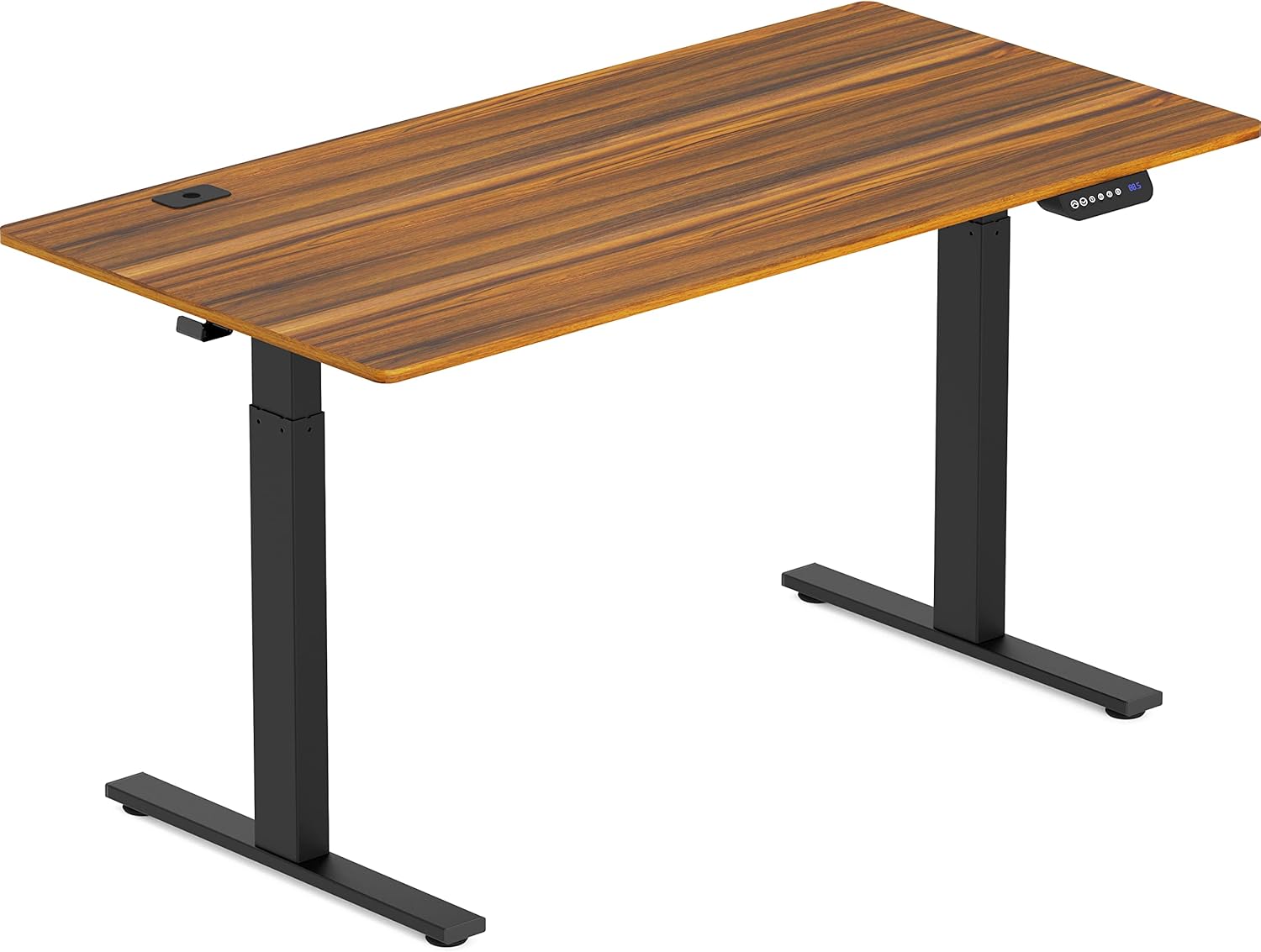 55-Inch Large Electric Height Adjustable Standing Desk, 55 x 28 Inches, Walnut