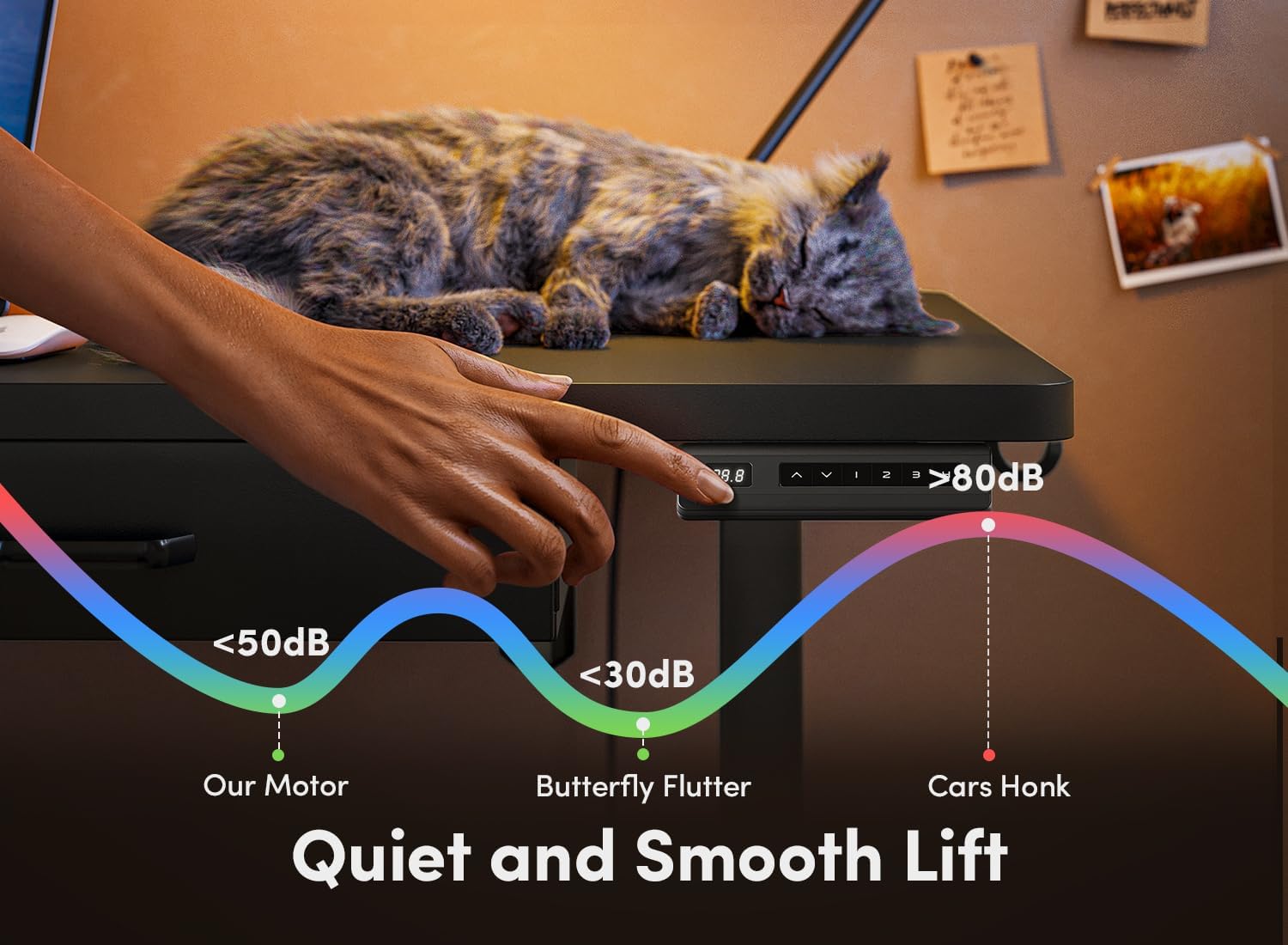 Adjustable Height Electric Standing Desk with Double Drawer