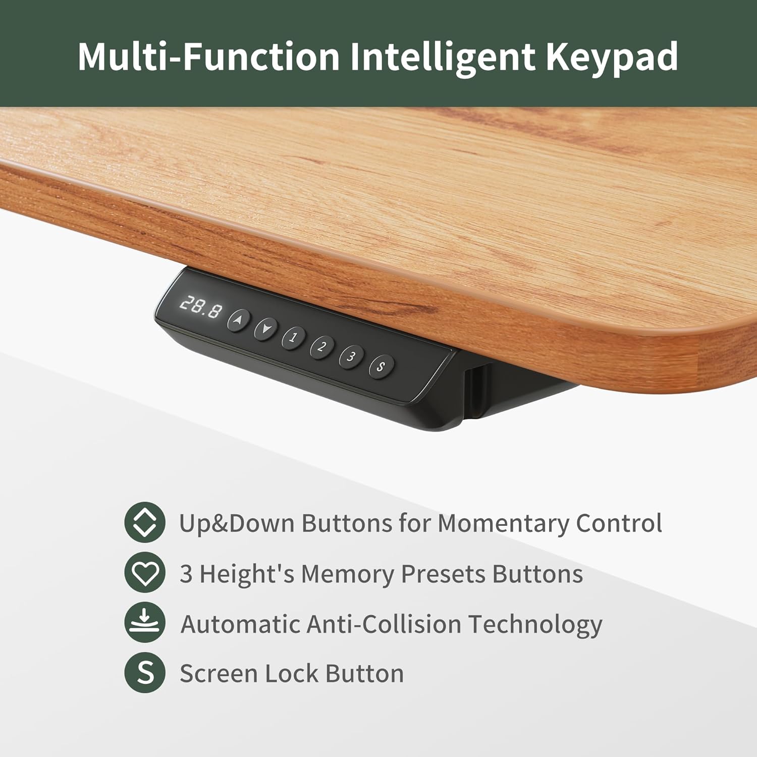 Height Adjustable Electric Standing Desk with 5 Drawers, 48 x 24 Inch Table with Storage Shelf