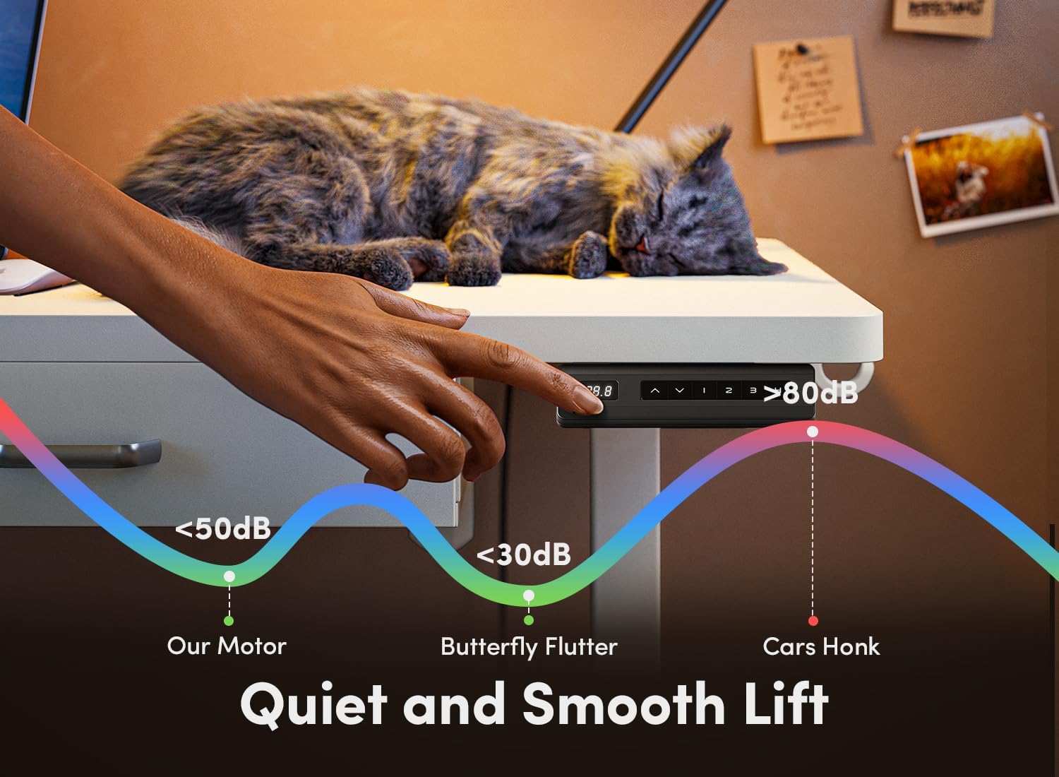 55 x 24 Inches Standing Desk with Double Wooden Drawers, Adjustable Height Electric Standing Desk