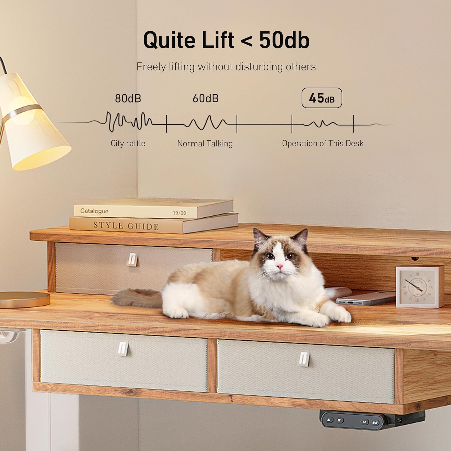 Sturdy Height Adjustable Electric Standing Desk with Drawers, 55 x 24 Inch Stand Up Table with Large Storage Shelf