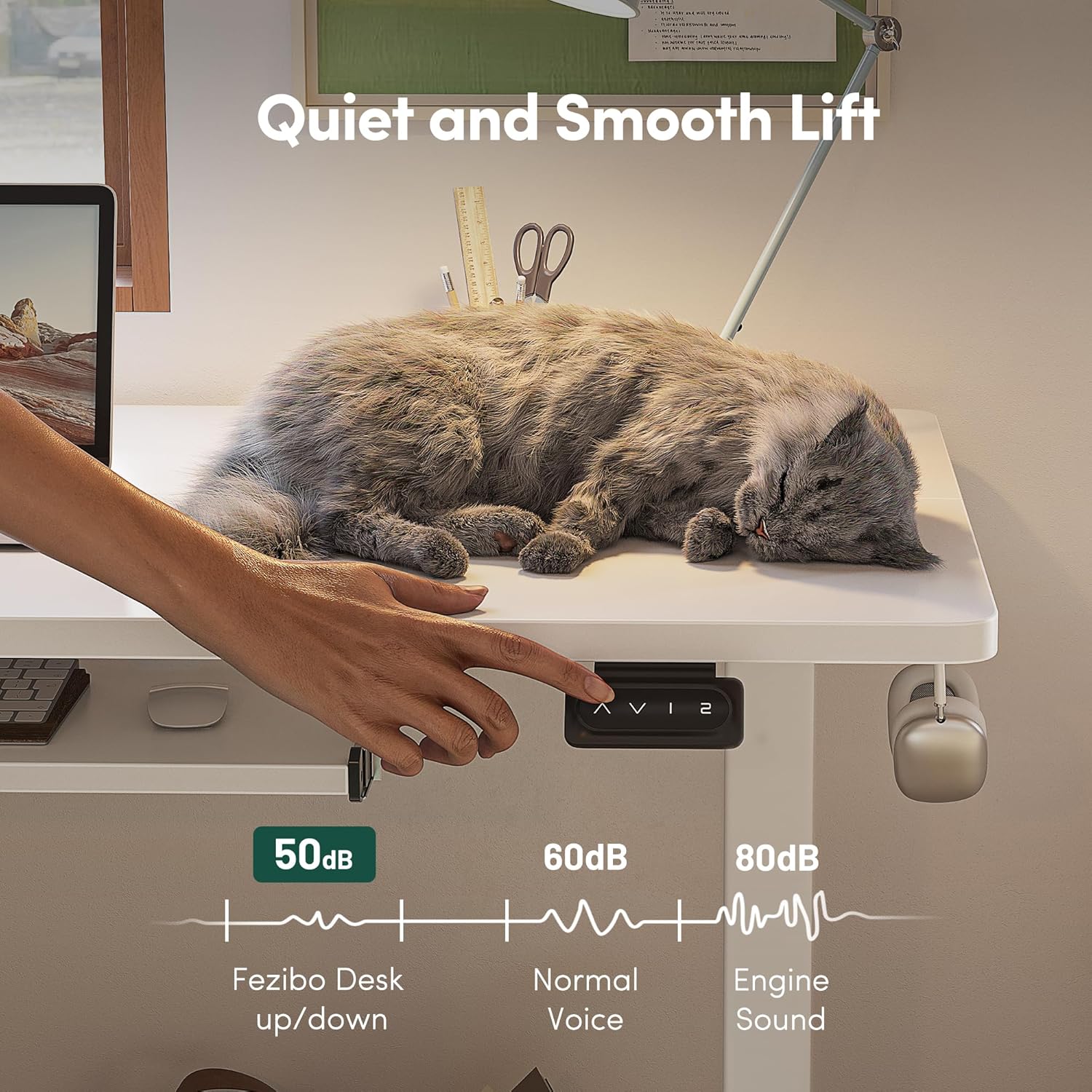 Standing Desk with Keyboard Tray, 48 × 24 Inches Electric Height Adjustable Desk