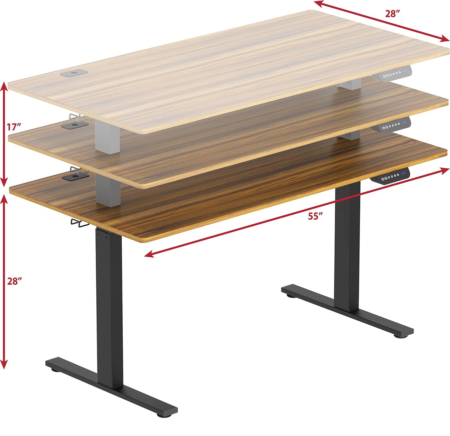55-Inch Large Electric Height Adjustable Standing Desk, 55 x 28 Inches, Walnut