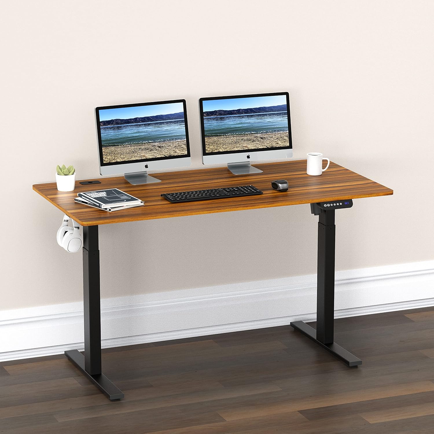 55-Inch Large Electric Height Adjustable Standing Desk, 55 x 28 Inches, Walnut