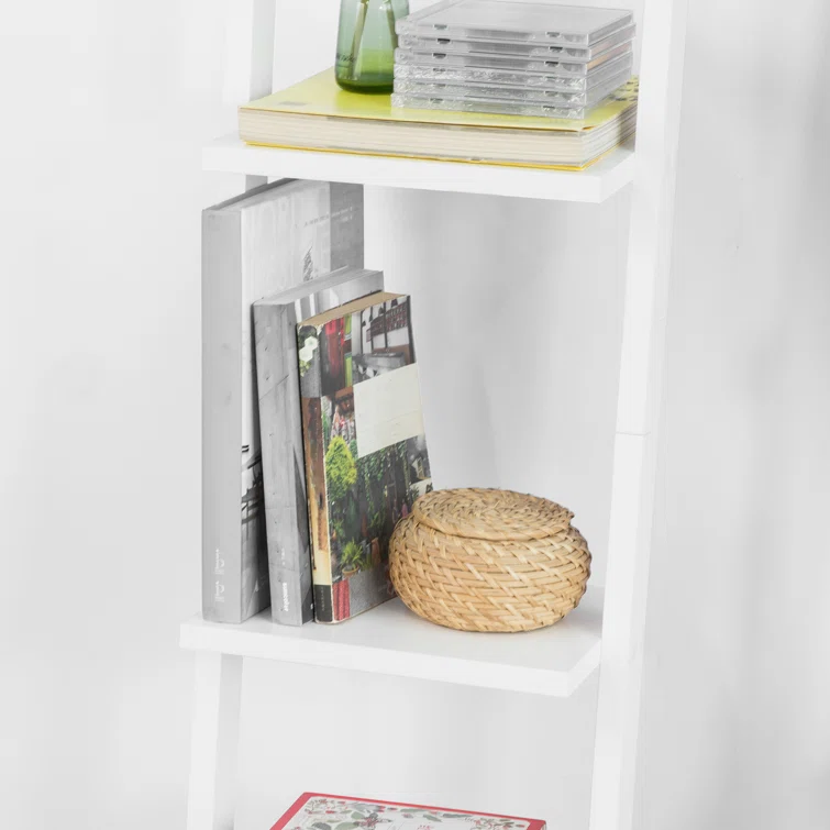 Ladder Storage Bookcase