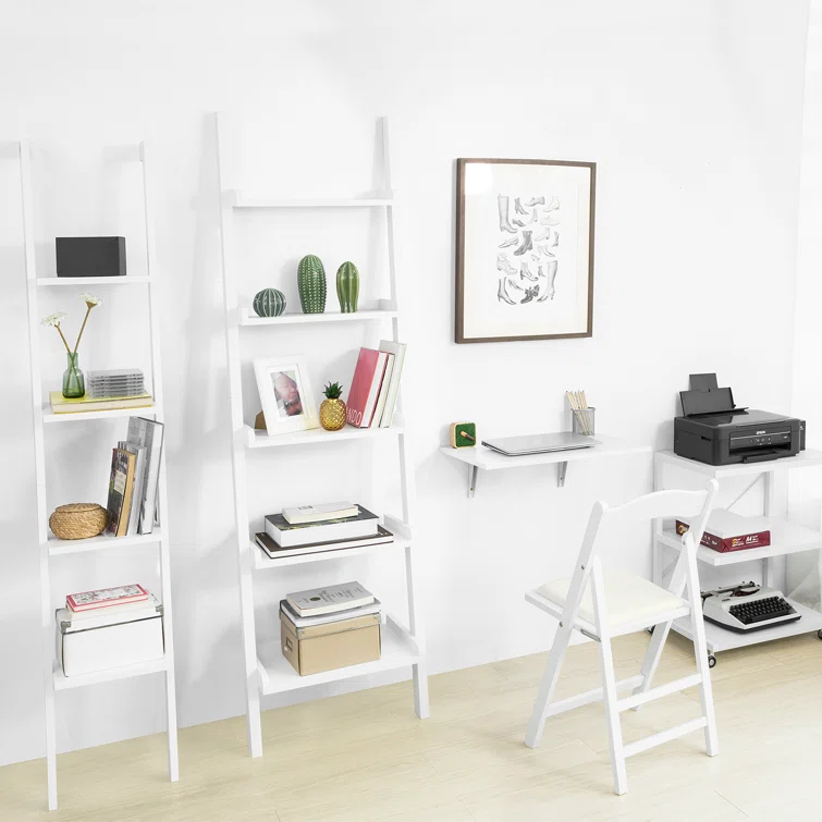 Ladder Storage Bookcase