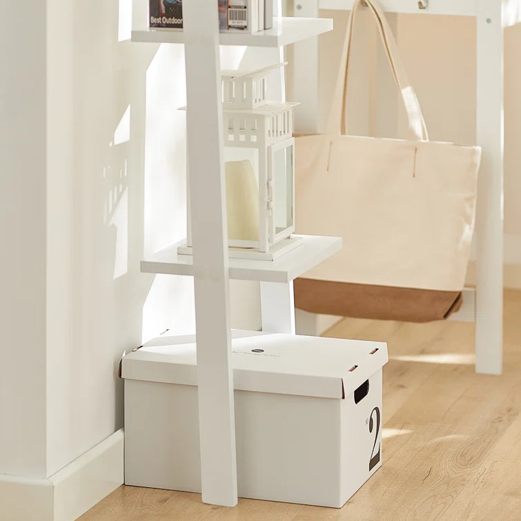 Ladder Storage Bookcase