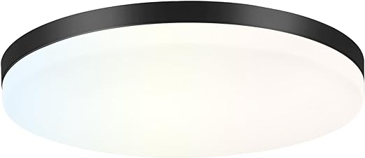 Dimmable LED Flush Mount Ceiling Light Fixture with Remote, Black 13Inch 24W 3000K-6000K Light Color Adjustable, Modern Ultra-Thin Round Close to Ceiling Light