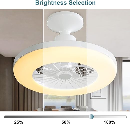 Enclosed Ceiling Fan with Light Remote Control, 11 Inch 3000K Low Profile LED Small Ceiling Fan Bulb for Garage, Closet