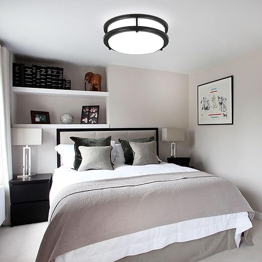 24W LED Ceiling Light Fixture, 10in Flush Mount Ceiling Light, Black Lamp