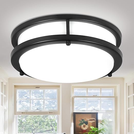 24W LED Ceiling Light Fixture, 10in Flush Mount Ceiling Light, Black Lamp