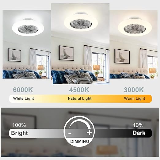 Ceiling Fan with Led Lights, 20'' Modern Ceiling Fan with Remote Control and Light for Indoor Bedroom Living Room Kitchen