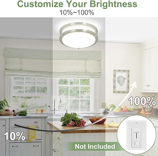 24W LED Ceiling Light Fixture, 10 in Flush Mount Ceiling Light, Brushed Nickel Round Lamp