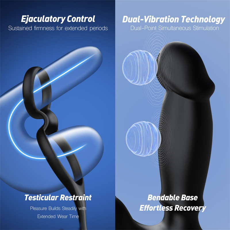 🔥2026 New Product - Hot Selling - 🎁All-in-One Pro Control™ Prostate Massager 👑 Black Knight