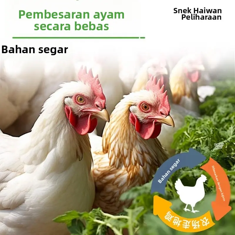 PETCLEAR Hati Ayam Rebus untuk Anjing & Kucing-Pet Store