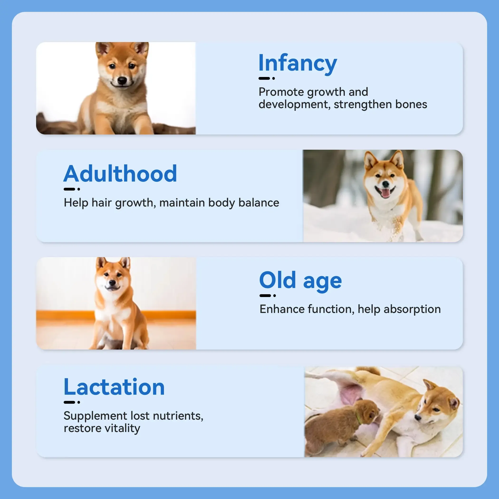 PetClear Vitamin Kompleks Haiwan Peliharaan - 200 Tablet-Pet Store