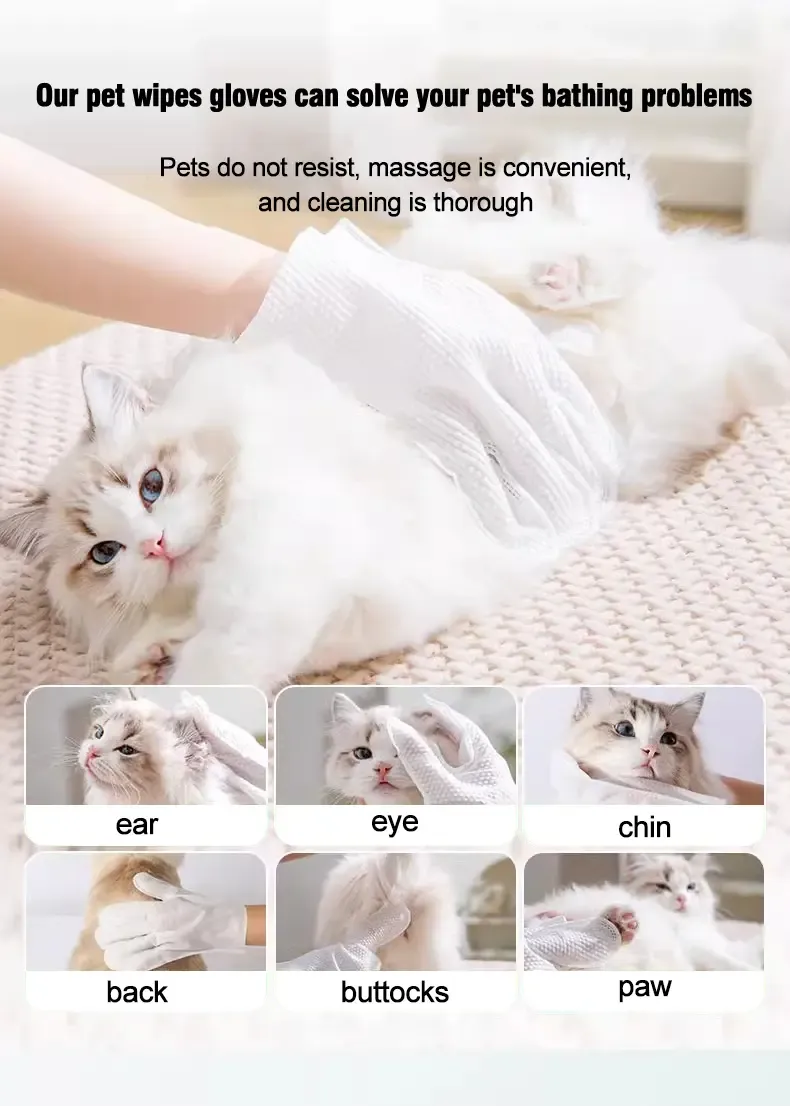 PETCLEAR Sarung Tangan Pembersih Haiwan Peliharaan 10 Keping Paket-Pet Store