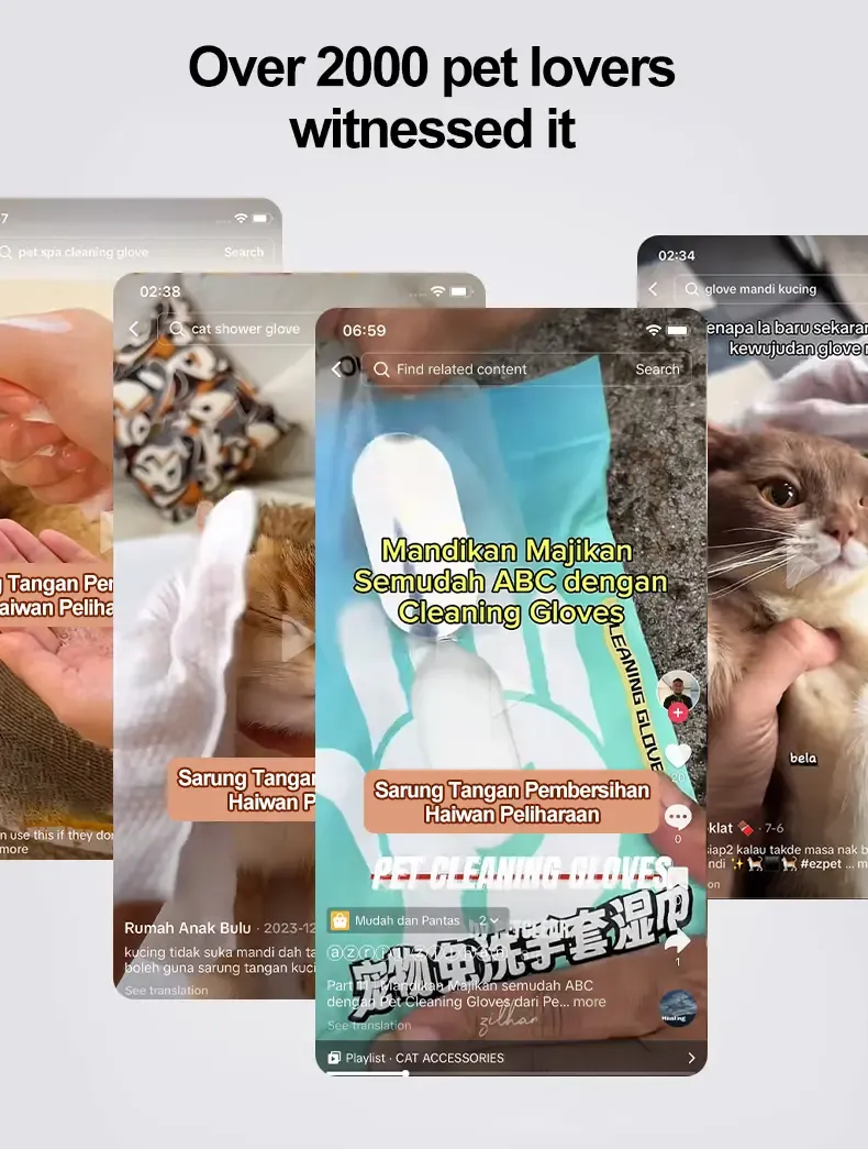 PETCLEAR Sarung Tangan Pembersih Haiwan Peliharaan 10 Keping Paket-Pet Store